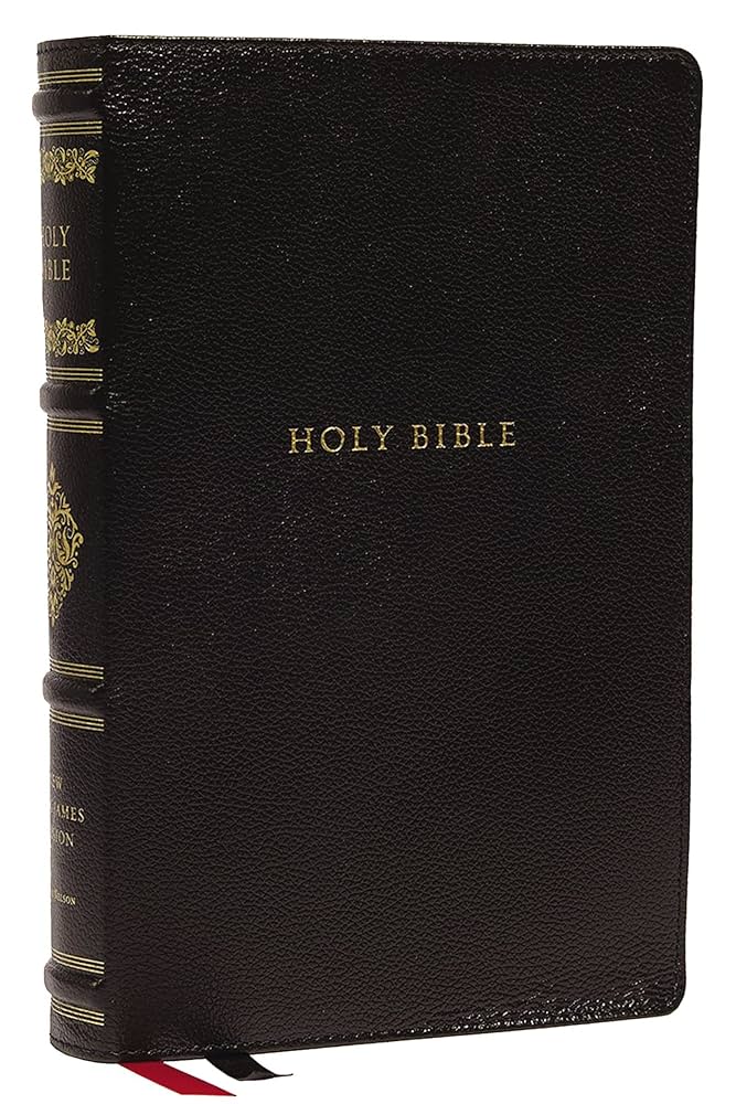 聖書 Holy Bible: New King James Version 新品 NKJV, Holy Bible: Holy Bible, New King James Version